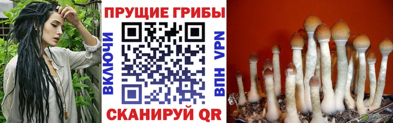 Галлюциногенные грибы MAGIC MUSHROOMS  блэк спрут рабочий сайт  Нижний Новгород 